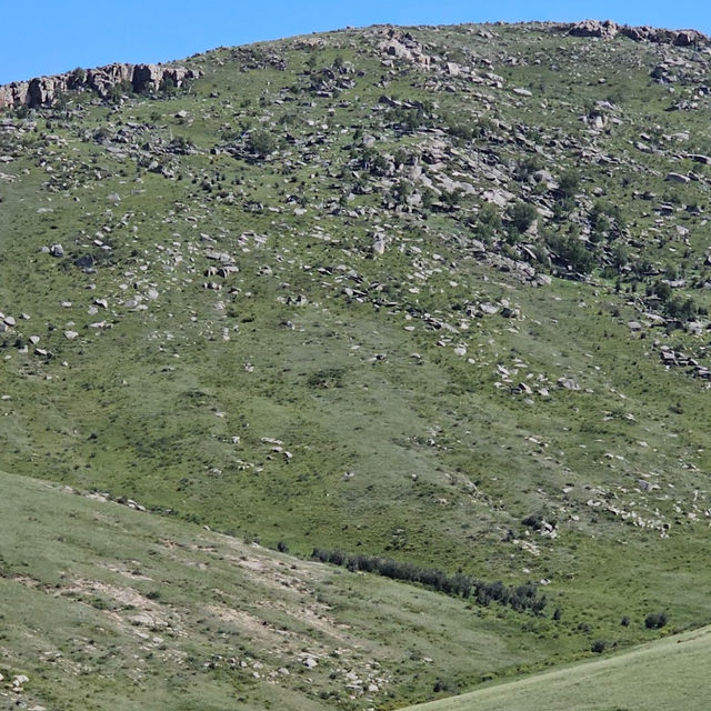 Hustai Highlights - Embracing Mongolia's Untamed Beauty
