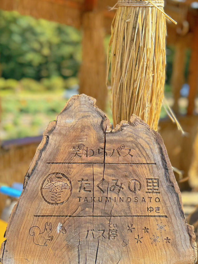 【群馬】秋のおでかけスポット🐿もふもふコキアの季節がやってきた🧡