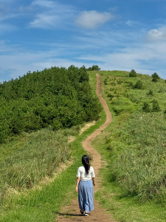가을에 꼭 가야할 제주도 오름 추천⛰️