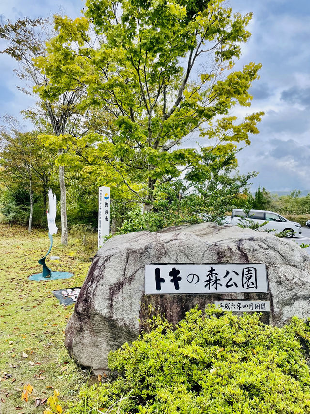 【新潟県】トキ会える「トキの森公園」