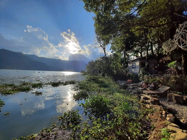 【博卡拉湖景咖啡店Krazy Gecko】零距離湖景觀，原始叢林風格，適合拍照、放鬆自我