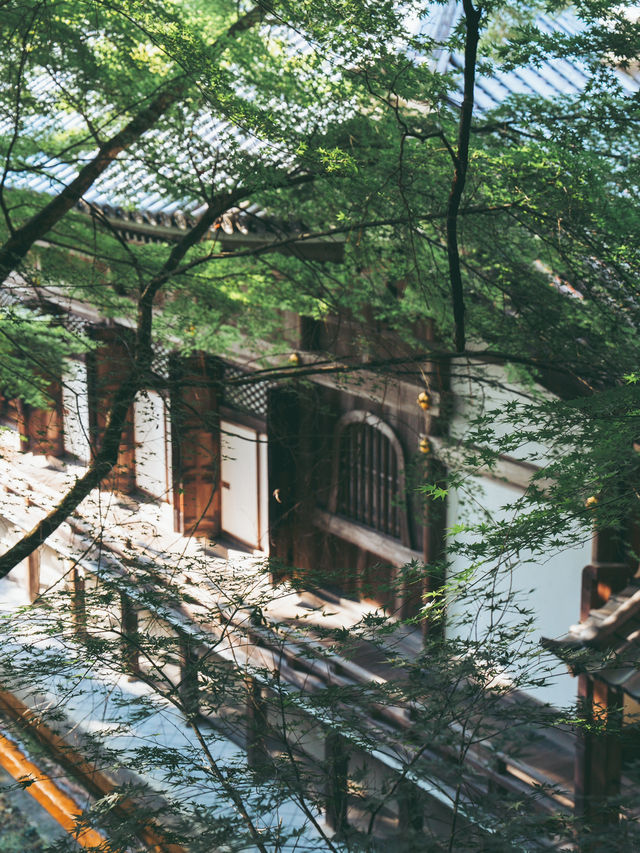 秋にも行きたい！京都の禅林寺永観堂