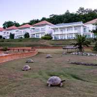 VIVA MONTANE พูลวิลล่าบางเสร่บรรยากาศดี🏠🌳
