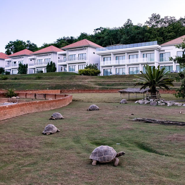 VIVA MONTANE พูลวิลล่าบางเสร่บรรยากาศดี🏠🌳