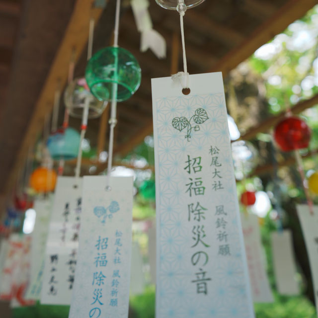 【京都観光】酒造りと縁結びの神様を祀る！「松尾大社」⛩️ 🍶
