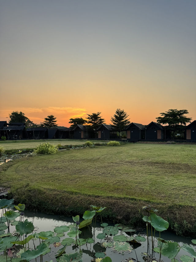 บ้านติดดิน เชียงคาน🌳
