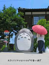 【宮崎】リアルジブリの世界『富土のトトロ』⁡⁡
