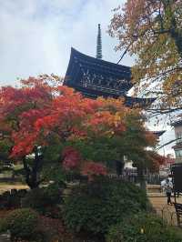TAKAYAMA เมืองแห่งมนต์เสน่ห์ยุคสมัยเอโดะ 