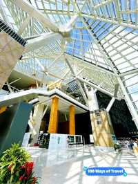 Exploring the Treasures of Shenzhen Library