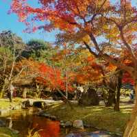 Maruyama Park