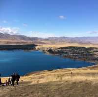 【ニュージーランド🇳🇿】テカポ湖ドライブ！