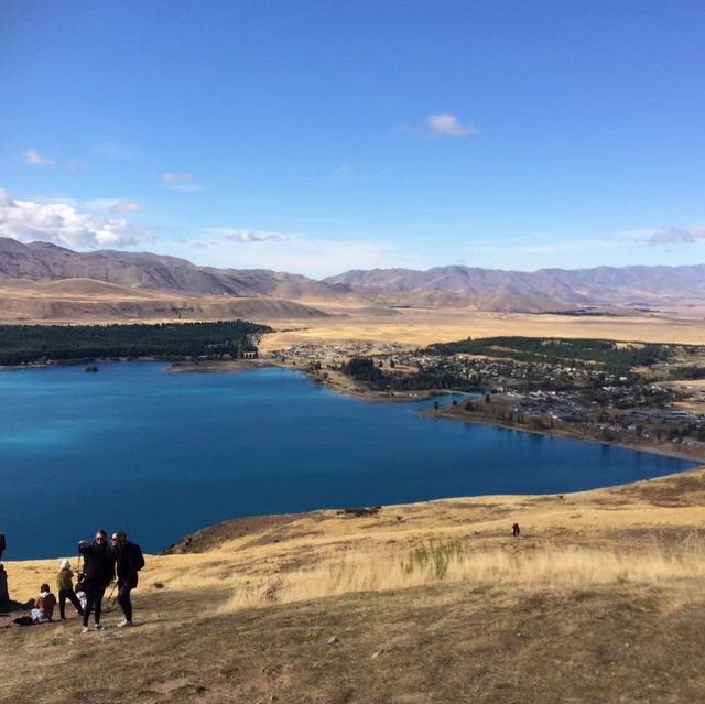 【ニュージーランド🇳🇿】テカポ湖ドライブ！