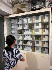 「美荷樓生活館」翻新工程完成，重現社區歷史文化