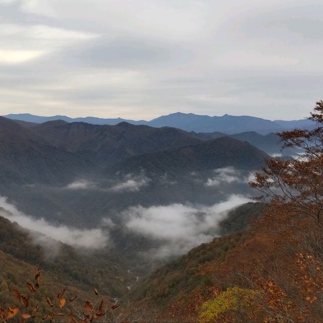 谷川岳山頂