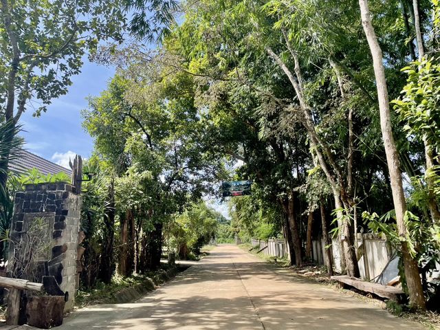 วัดป่าภูปัง : อุบลราชธานี