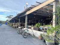 “ร้านอาหารแม่คูซีน” ร้านวิวสวยบางปู