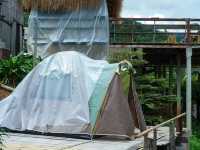 บ้านลีซูโฮมสเตย์ บ้านนาเลาใหม่ อ.เชียงดาว