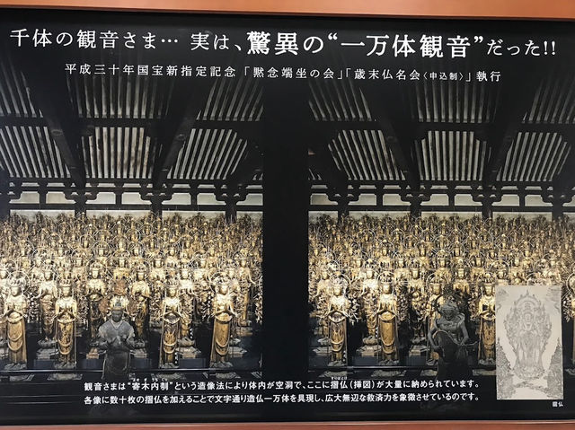 京都的佛教藝術殿堂✨三十三間堂🏯