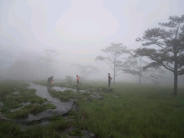เดินป่า ที่ราบสูงโบลาเวน