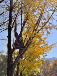 서울동물원