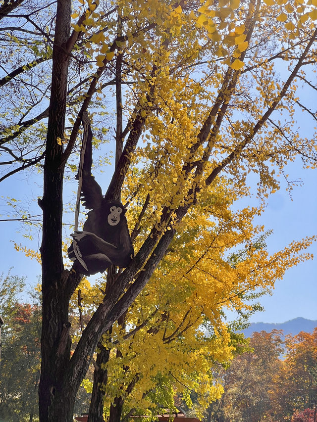 서울동물원