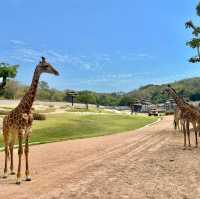 สวนสัตว์เมืองไทย🦒🐘
