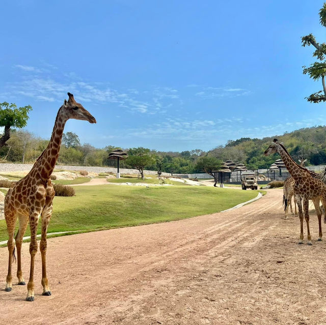 สวนสัตว์เมืองไทย🦒🐘