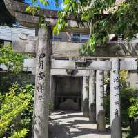 Kushida Shrine ⛩️🙇🏻‍♀️🇯🇵 Fukuoka, Japan