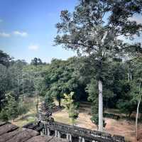 Discover the Timeless Beauty of Angkor Wat Area, Cambodia