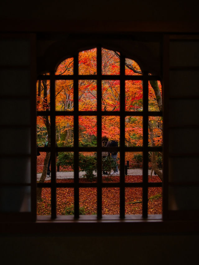 【紅葉特集】予約情報付き‼️全国で珍しい額縁に入った紅葉が見られる絶景スポット🍁 