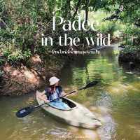 #ร้านปาฎี #คาเฟ่ระยอง #มุมใหม่ของร้าน #thewildflow