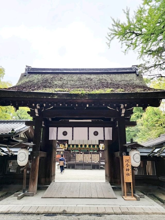 求靚必去，日本第一美麗神保𧙗你