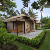Best Glamping Park bybthe beach With the Beach front View and Padi Field surounding by trees