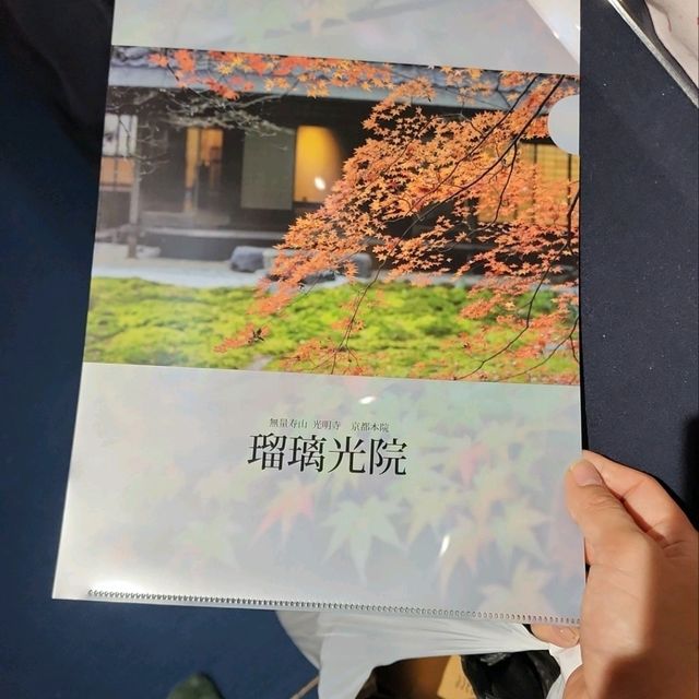 賞楓心靈之旅