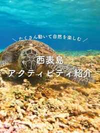 【西表島】楽しいアクティビティを紹介✨