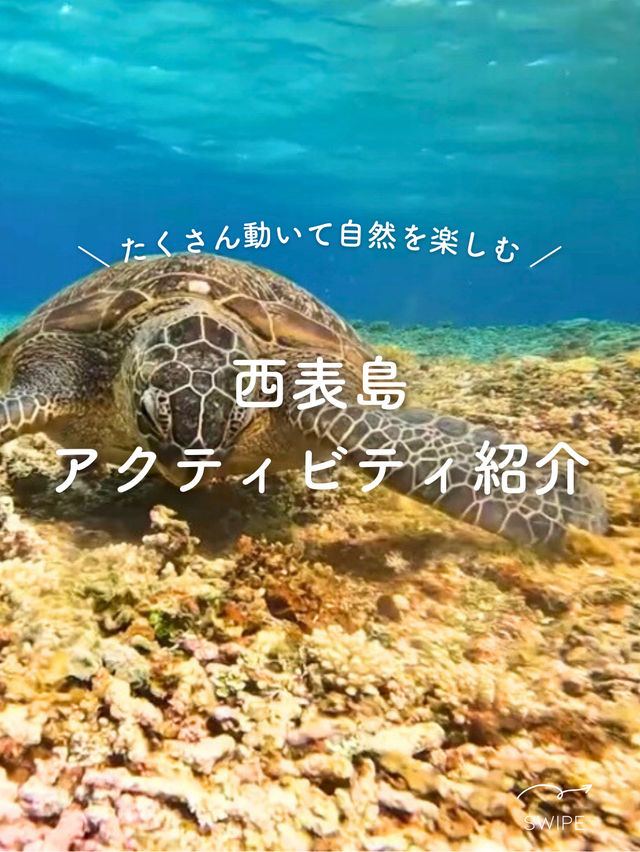 【西表島】楽しいアクティビティを紹介✨
