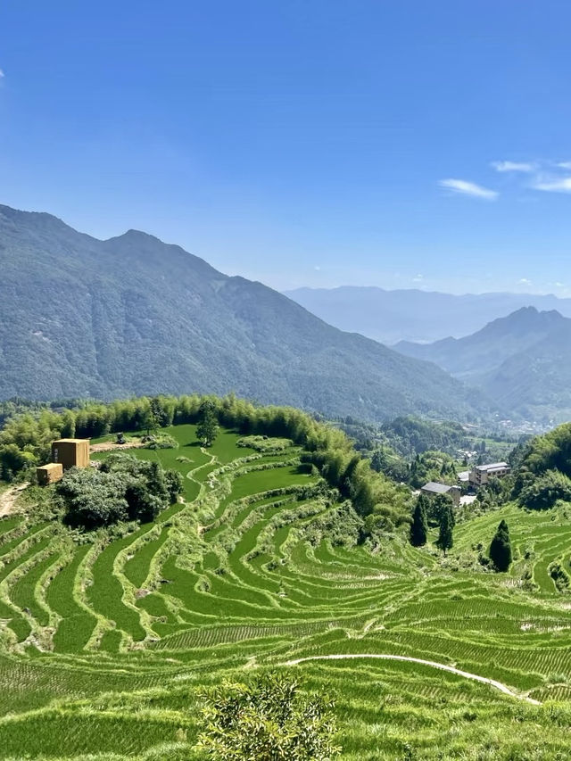 雲間畫卷：行走於麗水雲和梯田的詩意天地