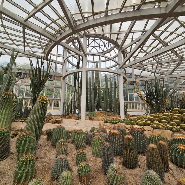 福建厦門4天3夜 ｜鼓浪嶼 • 沙坡尾 • 植物園 • 來瘋喜劇