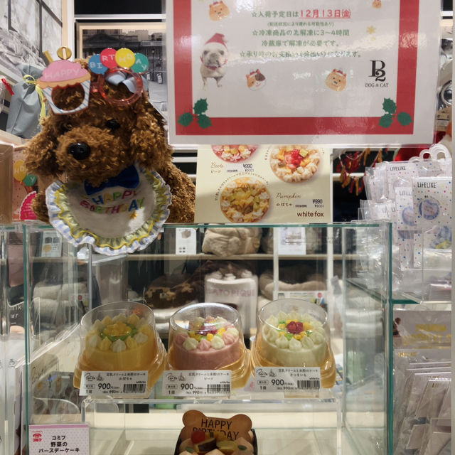 【二子玉川】P2 DOG&CAT - 愛犬愛猫の為の物が全て揃ってる！-