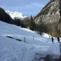 Hallstatt, The Princess Elsa Village