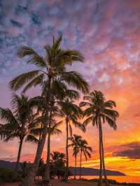 4 Reasons You Need to Visit Oahu ASAP 🌅