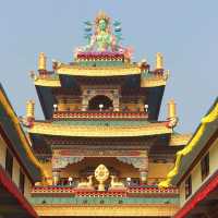  🇮🇳 印度-菩提迦耶 Bodhgaya 度母寺