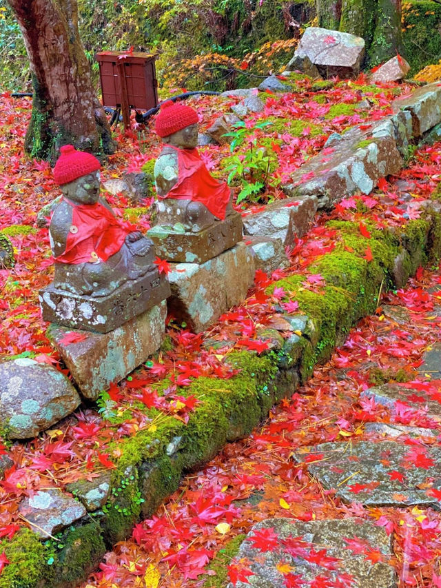山口県古刹😊紅葉名所🍁大寧寺🍁たいねいじ