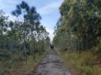 A Memorable Trip to Phu Kradueng National Park