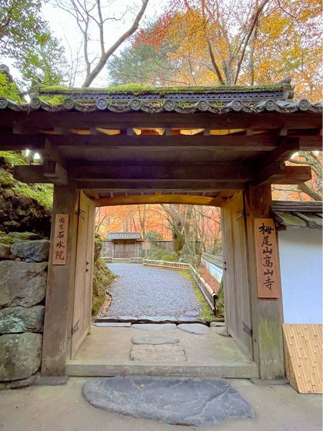 京都観光😊京都の古刹🍁世界遺産のお寺😊