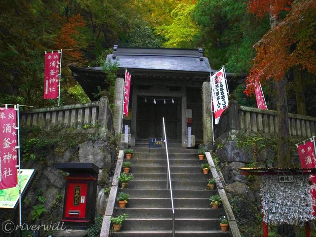 【栃木県】栃木版モネの池！？「出流原弁天池」