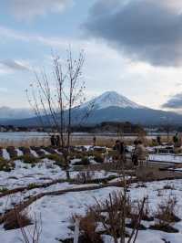 找不到最佳觀賞富士山🗻地點？一定要來這裏！
