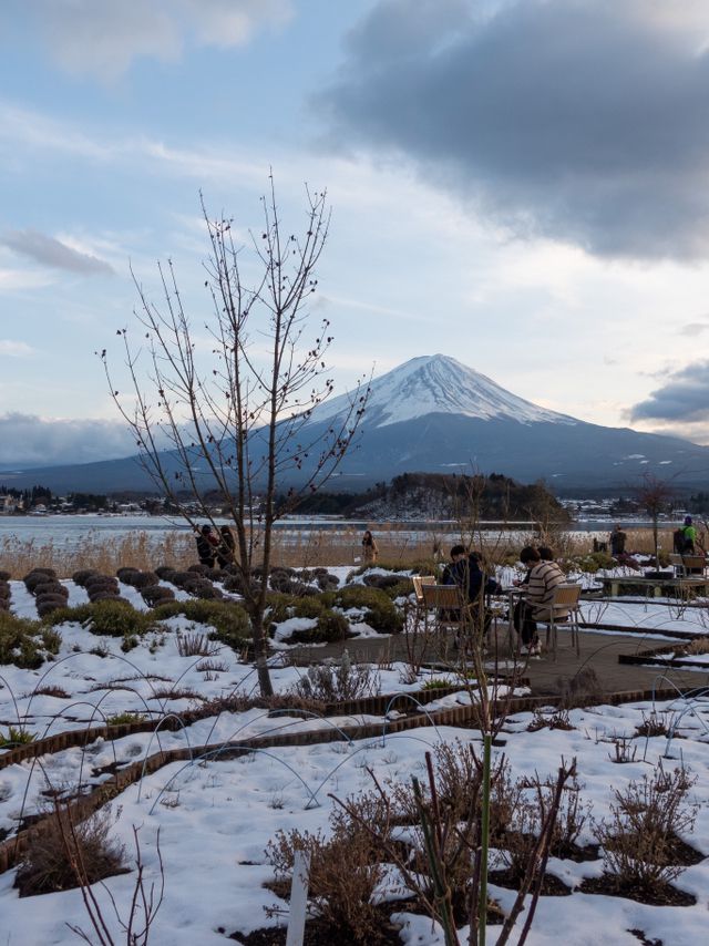 找不到最佳觀賞富士山🗻地點？一定要來這裏！