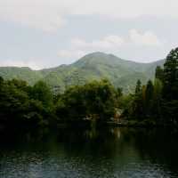 湯布院：溫泉與美景交織的療癒小鎮