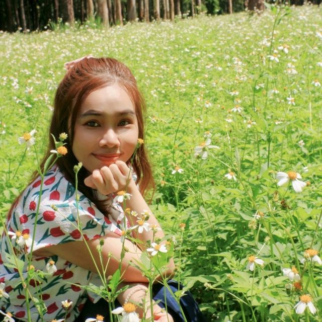 สวนสวย สวนสนแม่แตง~ เชียงใหม่